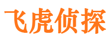 濠江市私家侦探